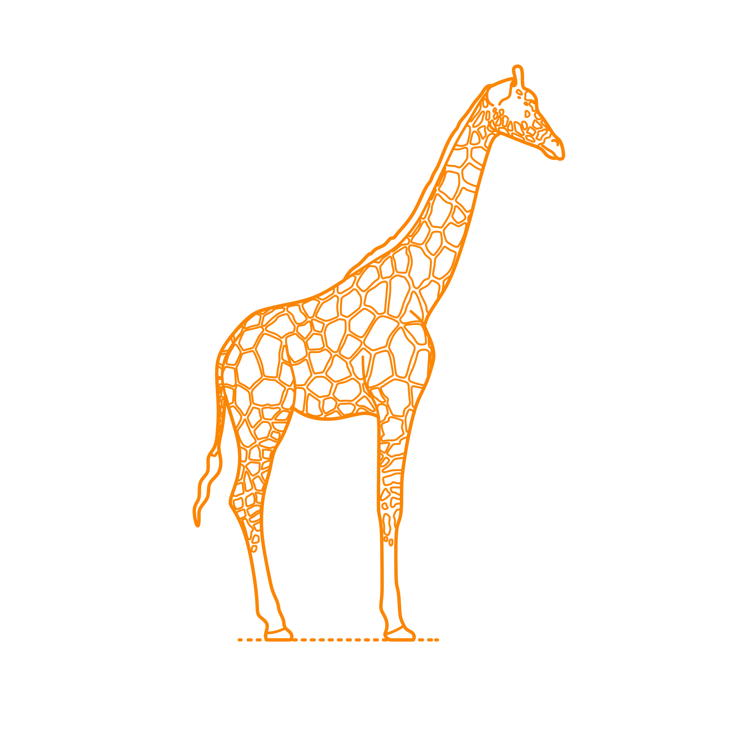 Animals Giraffoids Reticulated Giraffe Line Art Illustration Svg Free Vectors